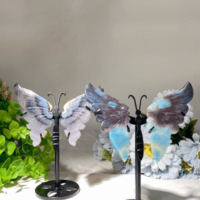 3.5 Inch Black Agate and Trolleite Butterfly Wings Crystal Figurine