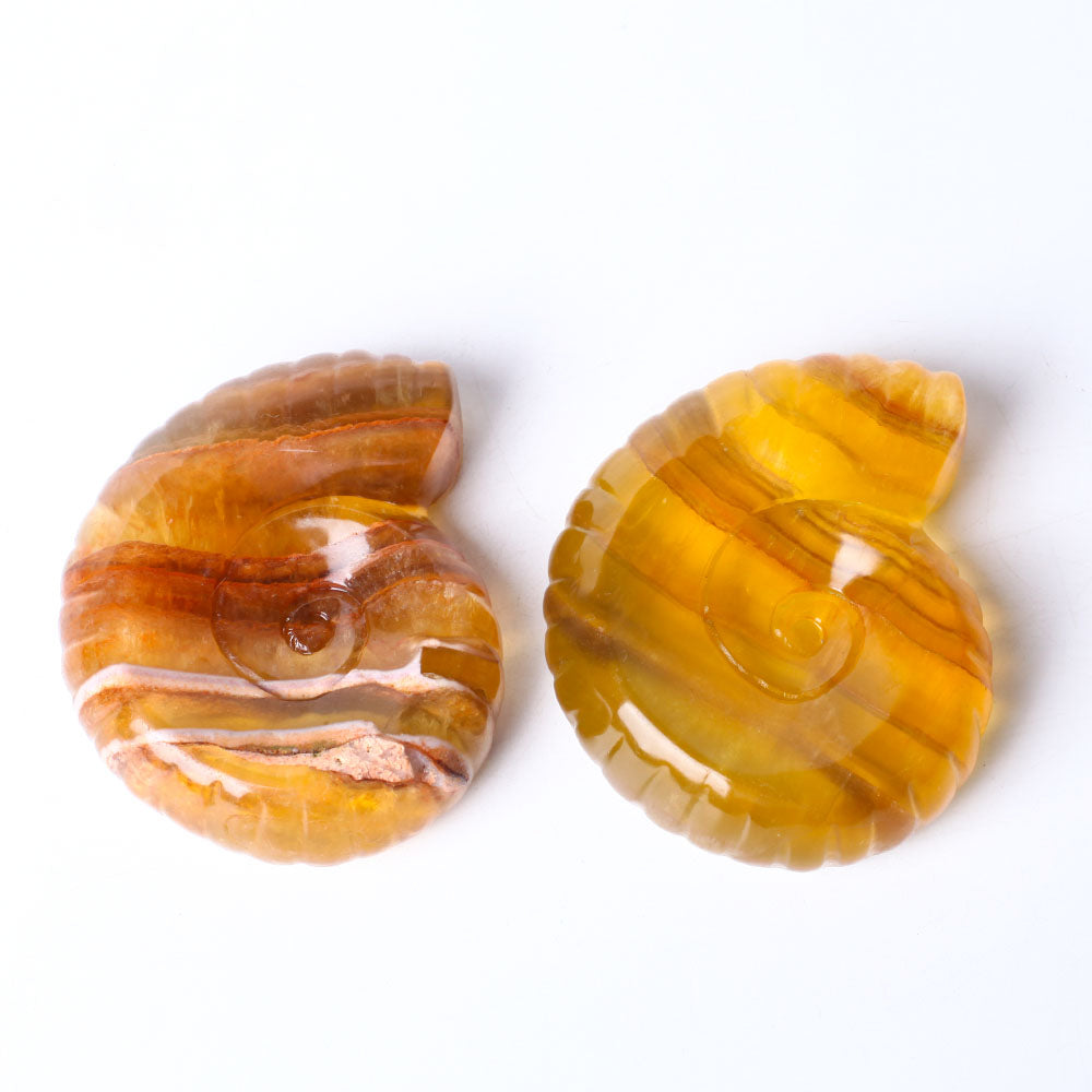 3.6" Unique Fluorite Snail Shell Crystal Carving Specimen