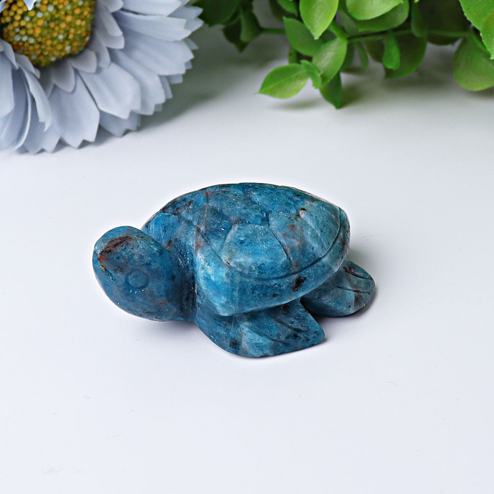2.3 inch Blue Apatite Sea Turtle Crystal Carving for Prosperity & Protection