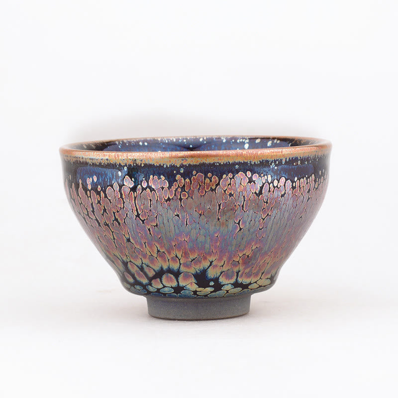 Tenmoku Jian Zhan Ceramic Tea Cup with Succulent Pattern 9cm x 5cm