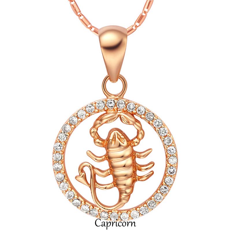 12 Zodiac Sign Copper Necklace | Luck & Healing Pendant