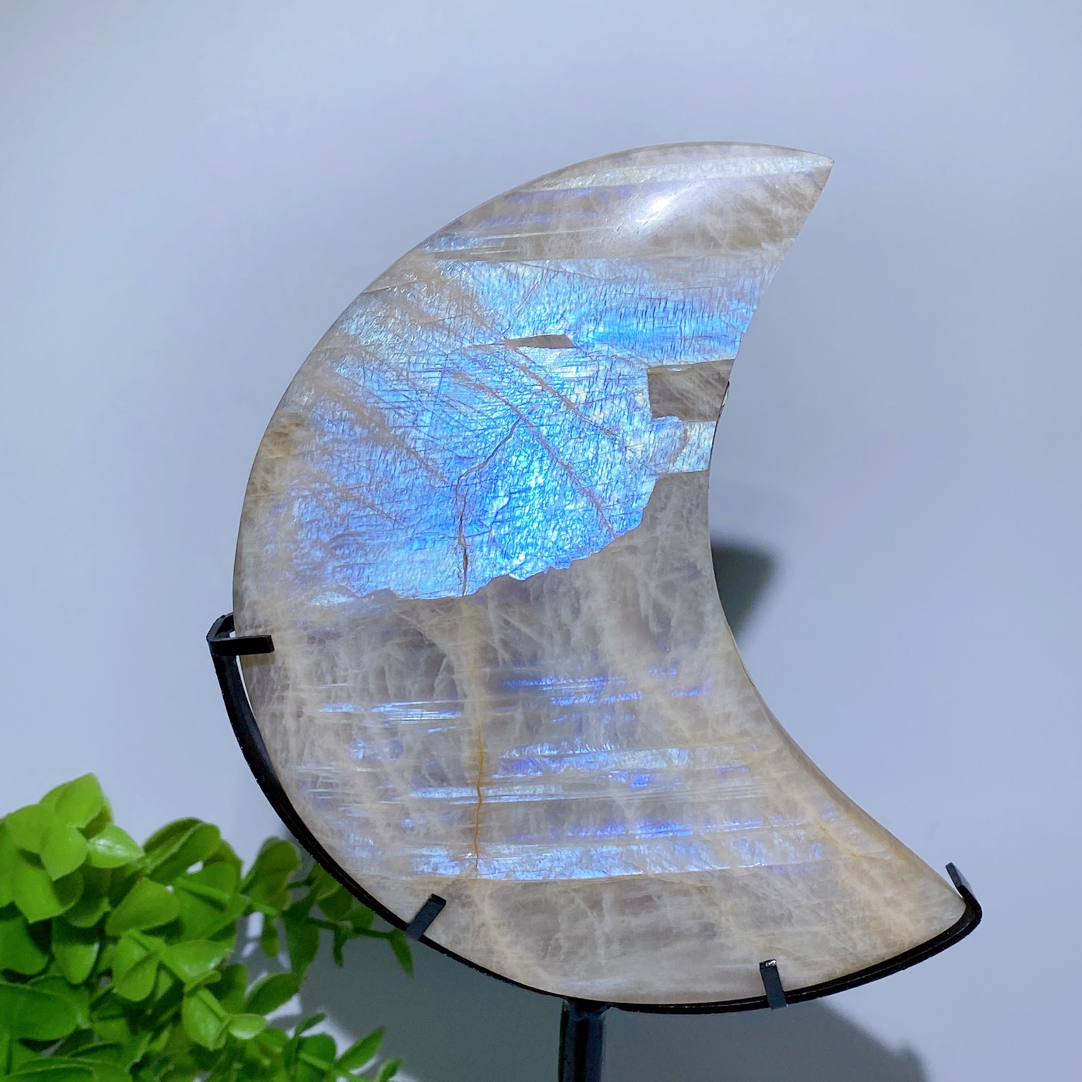 4-5 Inch Blue Flash Moon Crystal Carving for Healing