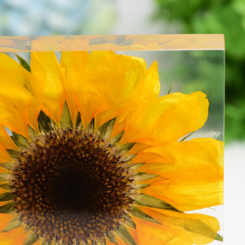 4.6-inch Resin Square with Sunflower - Spiritual Home Accent