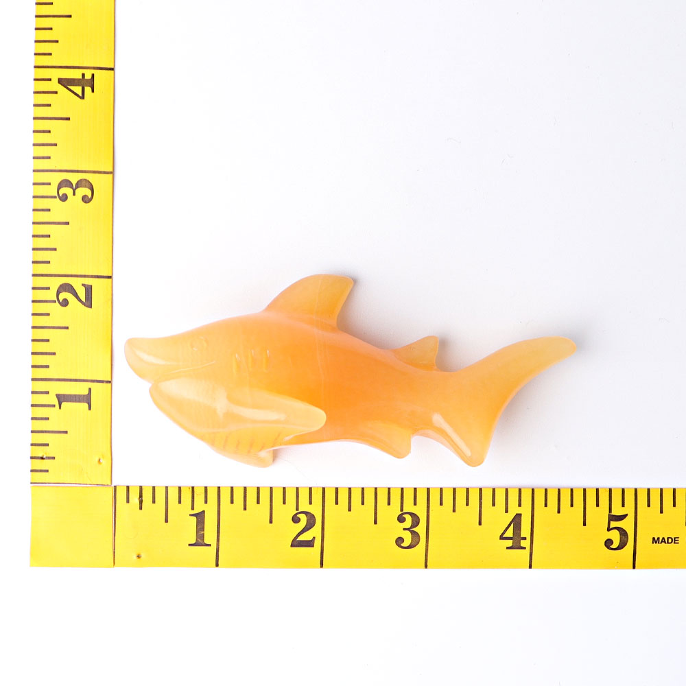 4 Inch Honey Calcite Shark Crystal Carving for Healing
