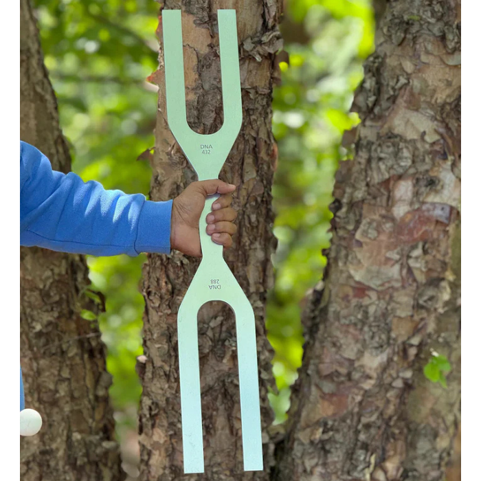 Mint green tuning fork-shaped outdoor tool held against a tree trunk for healing