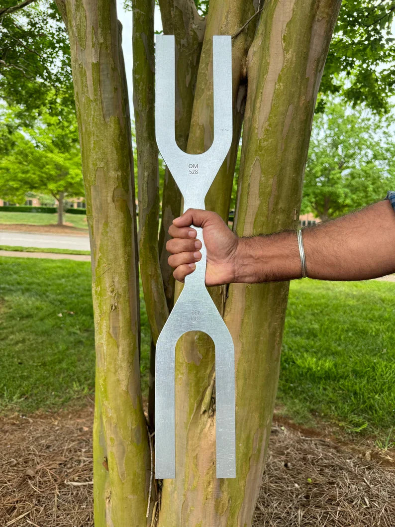 White tuning fork held between tree trunks for 432 Hz and 528 Hz healing