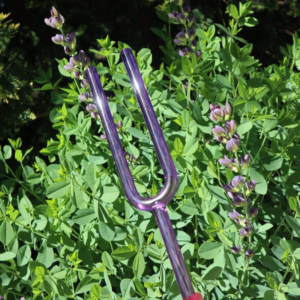 Purple metal garden fork with two tines from 432 Hz Giant Large Crystal Tuning Fork