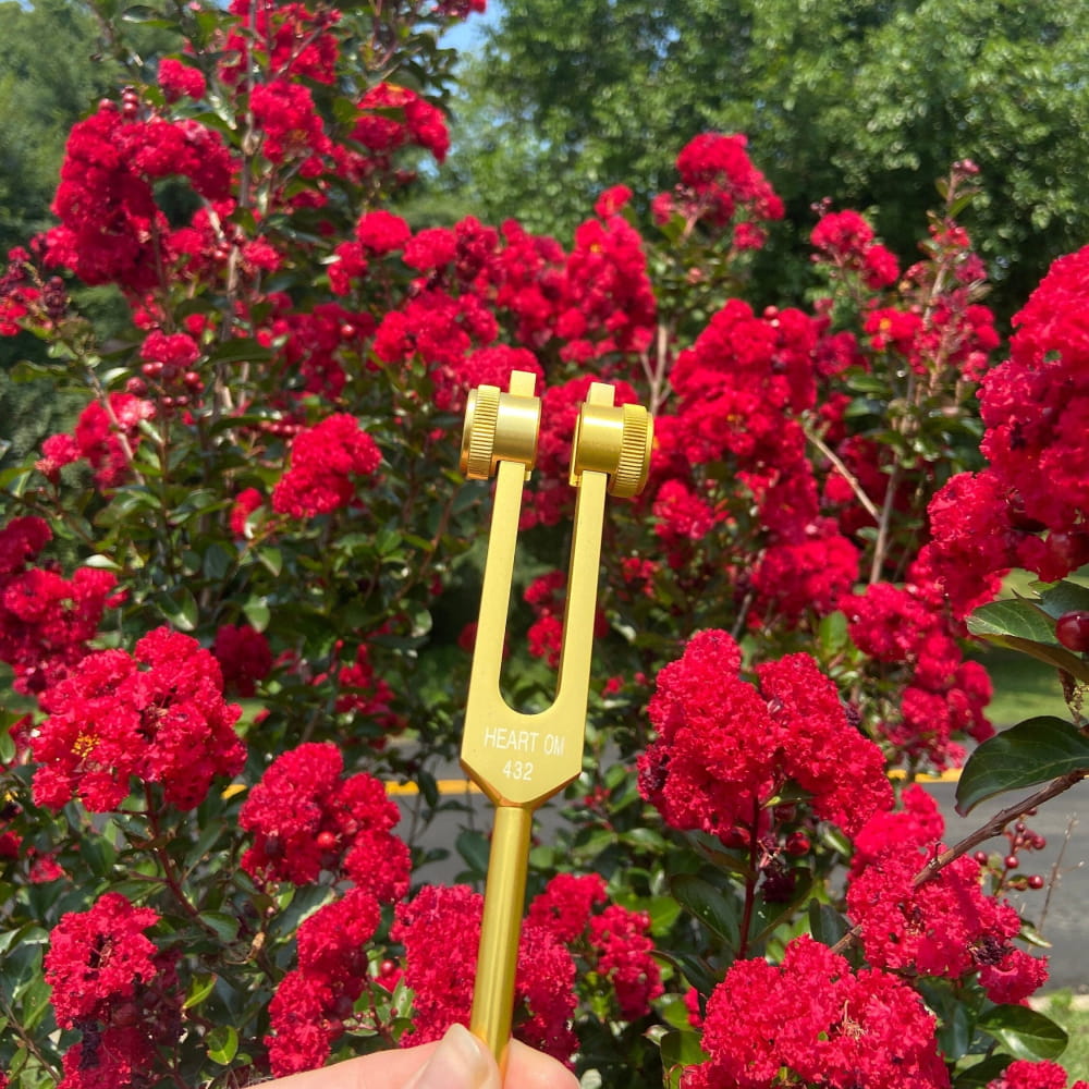 Golden tuning fork against vibrant red flowers, ideal for healing therapy and love frequency