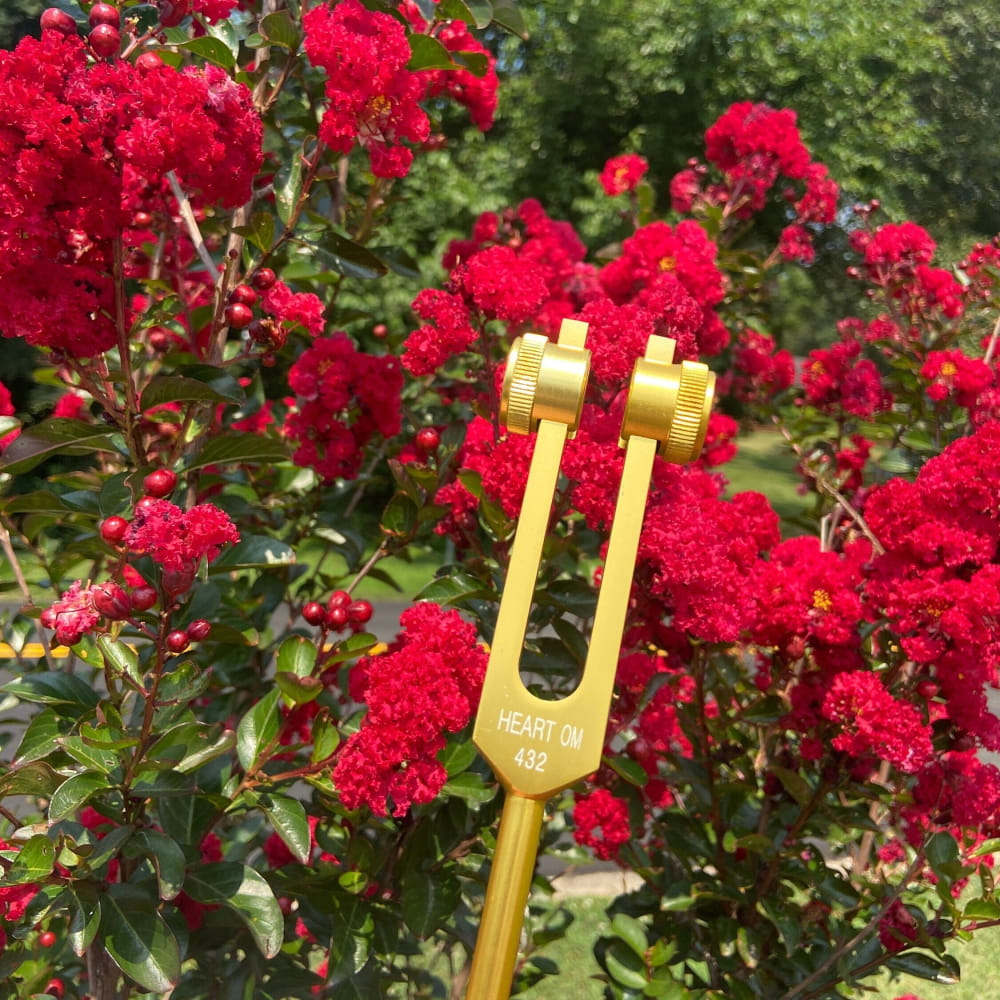 Golden tuning fork among vibrant red flowers for 432 Hz healing therapy