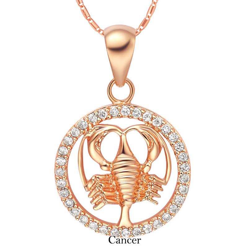 12 Zodiac Sign Copper Necklace | Luck & Healing Pendant