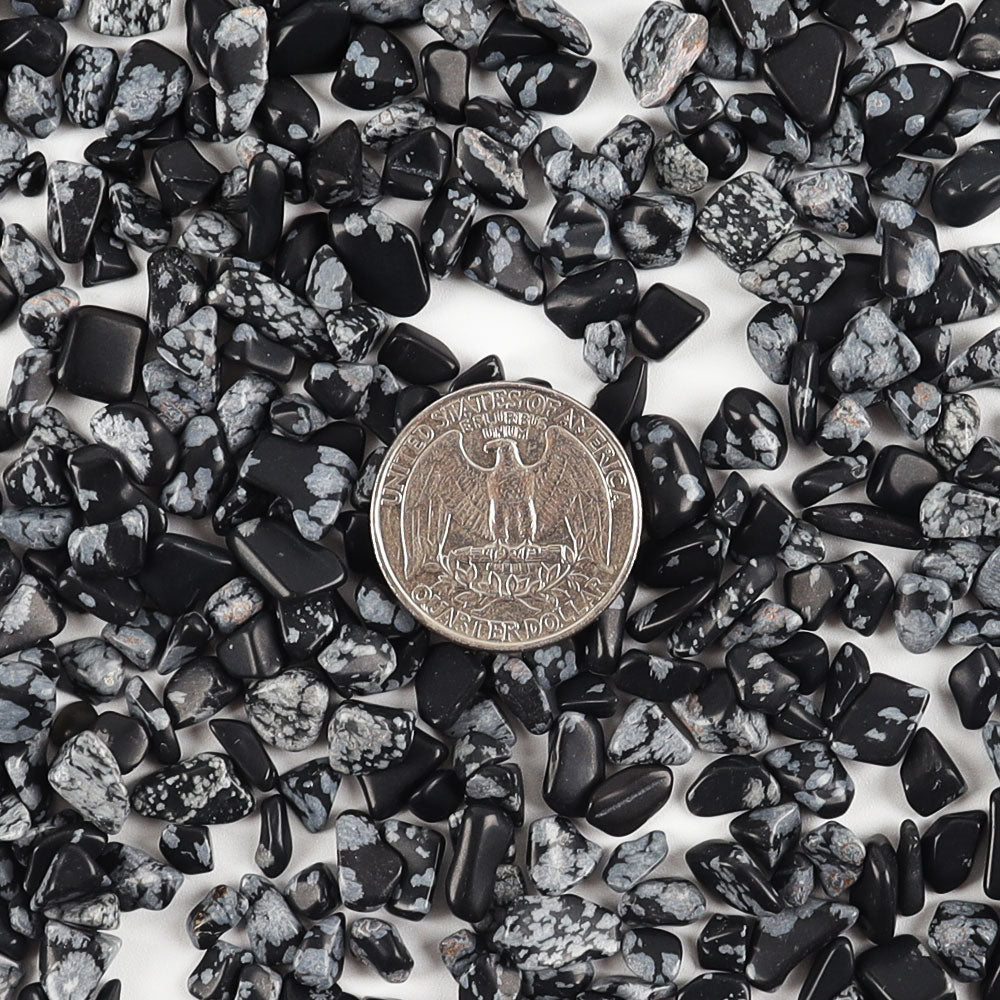 5-7mm Snowflake Obsidian Tumbled Stones Chips Healing