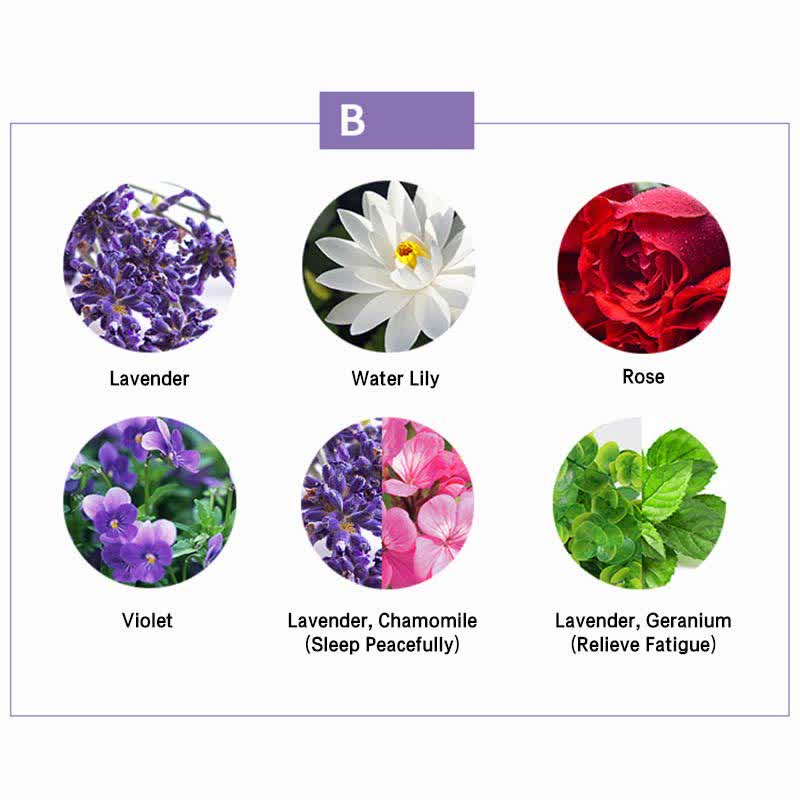 6pcs Aromatherapy Essential Oils Set for Healing | Healing Sounds