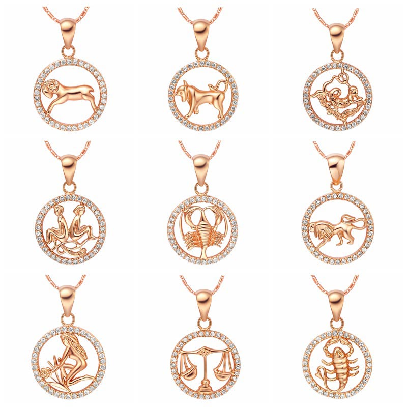 12 Zodiac Sign Copper Necklace | Luck & Healing Pendant