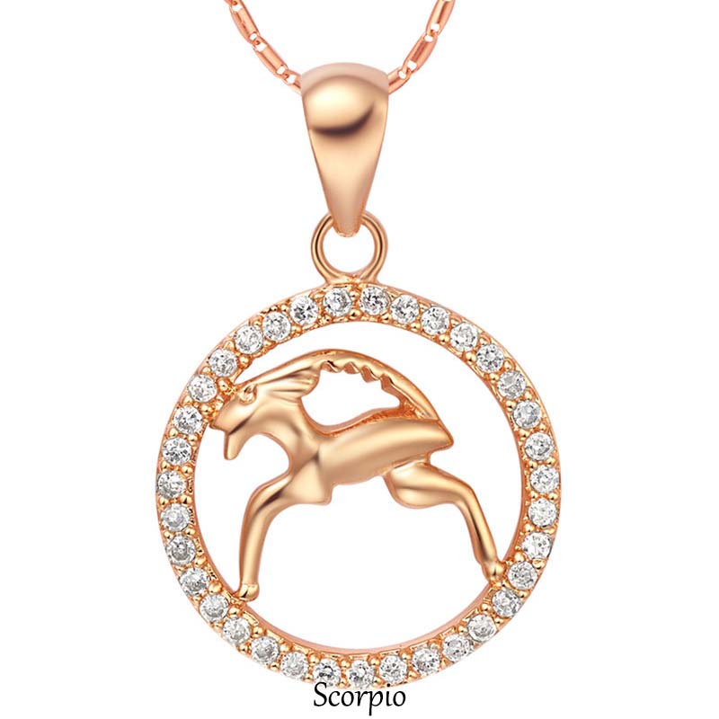 12 Zodiac Sign Copper Necklace | Luck & Healing Pendant