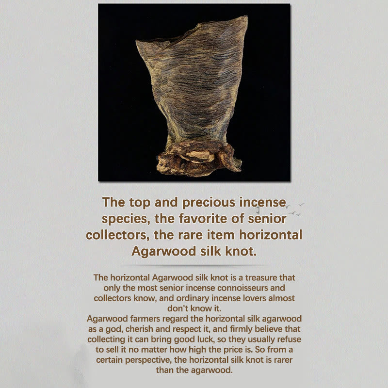 8mm Brunei Agarwood 108 Bead Mala Strength Bracelet