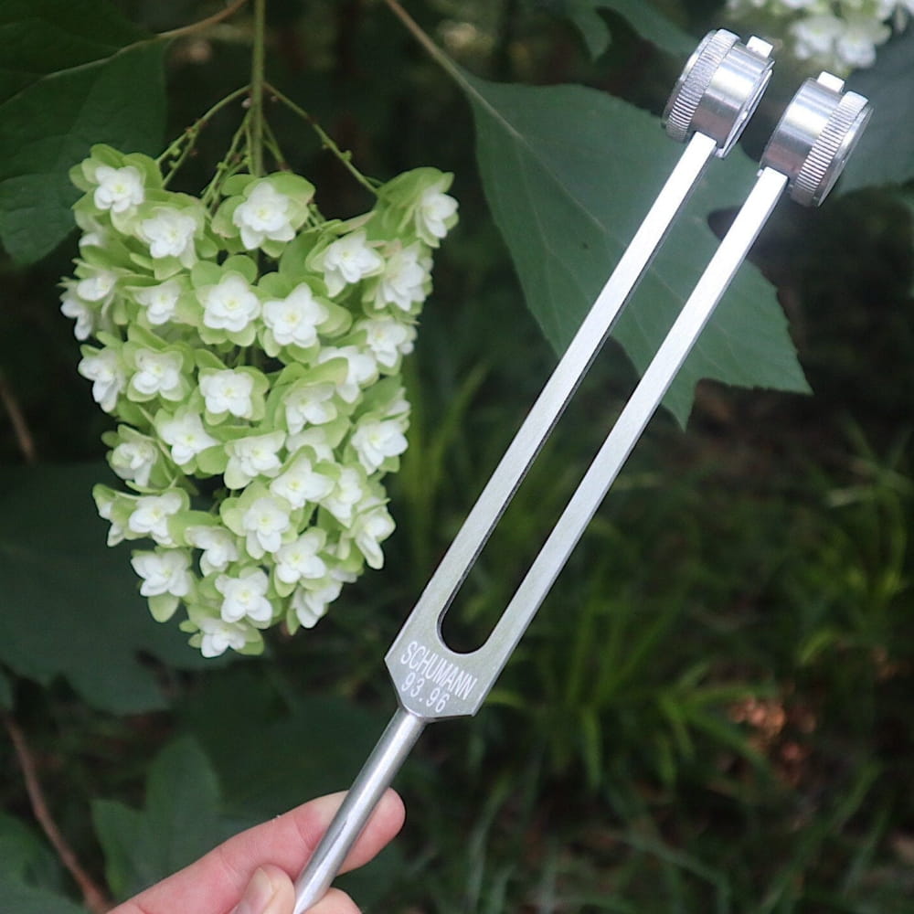 Metal tuning fork with two parallel prongs for 93.96 Hz Earth sound healing