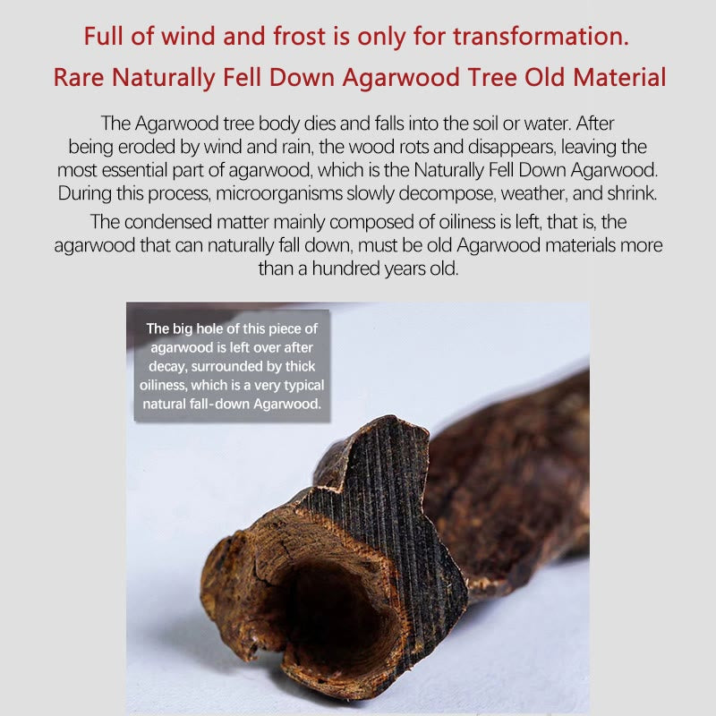 15cm Agarwood 999 Gold Double Wrap Spiritual Bracelet