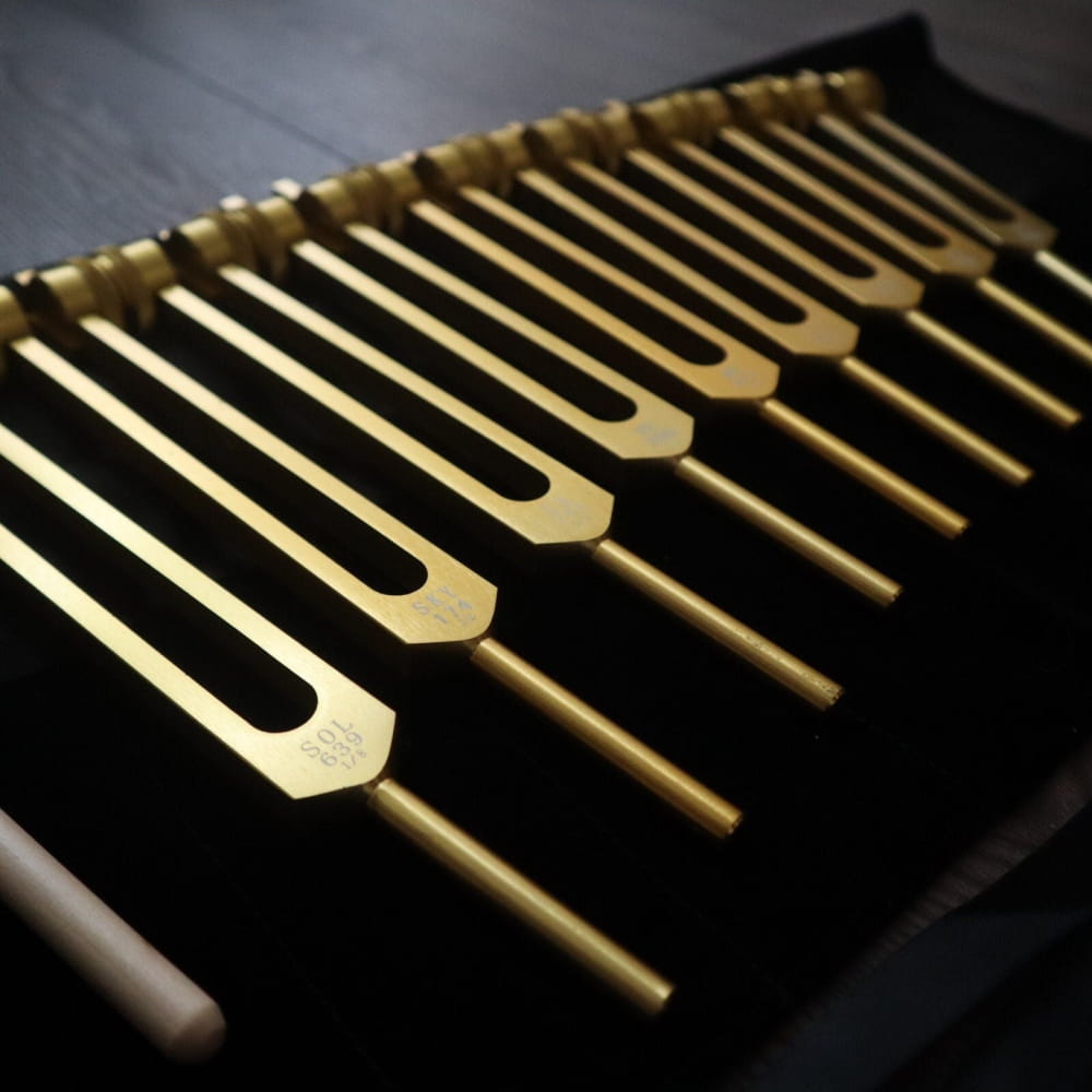 9pc Solfeggio Tuning Fork Set 528Hz Gold Bag & Striker - On sale