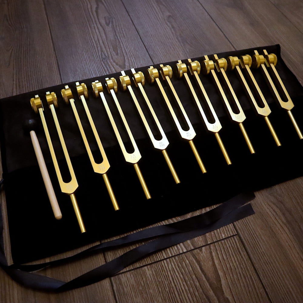 9pc Solfeggio Tuning Fork Set 528Hz Gold Bag & Striker - On sale