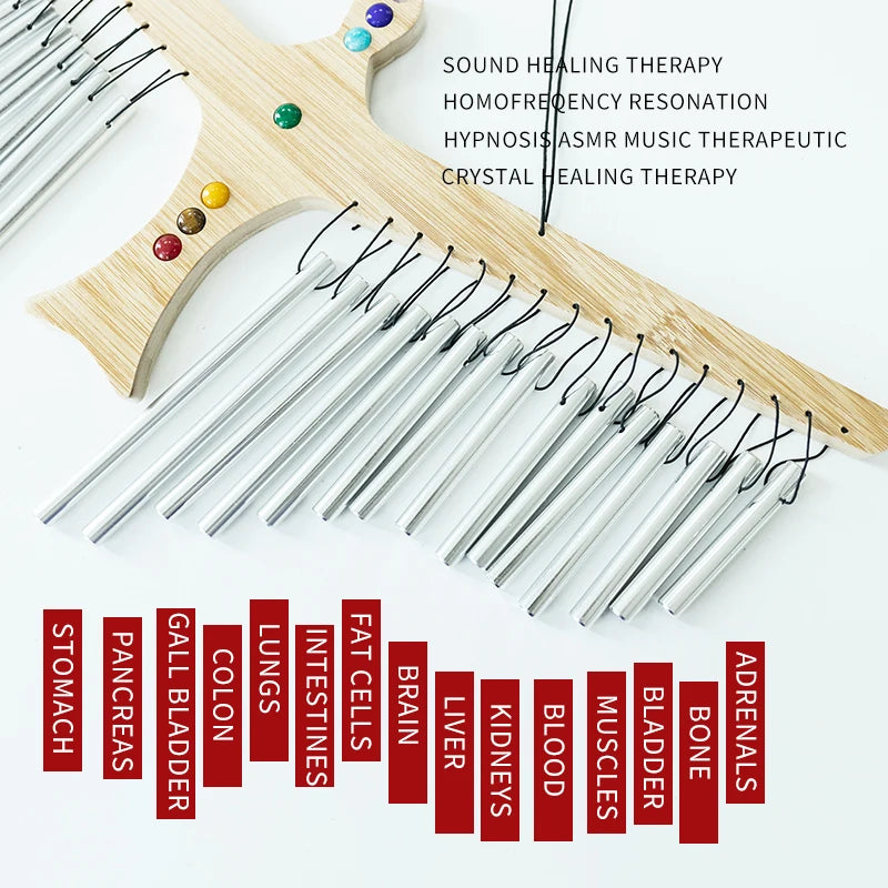 Chime with organ-specific healing frequencies for comprehensive wellness.