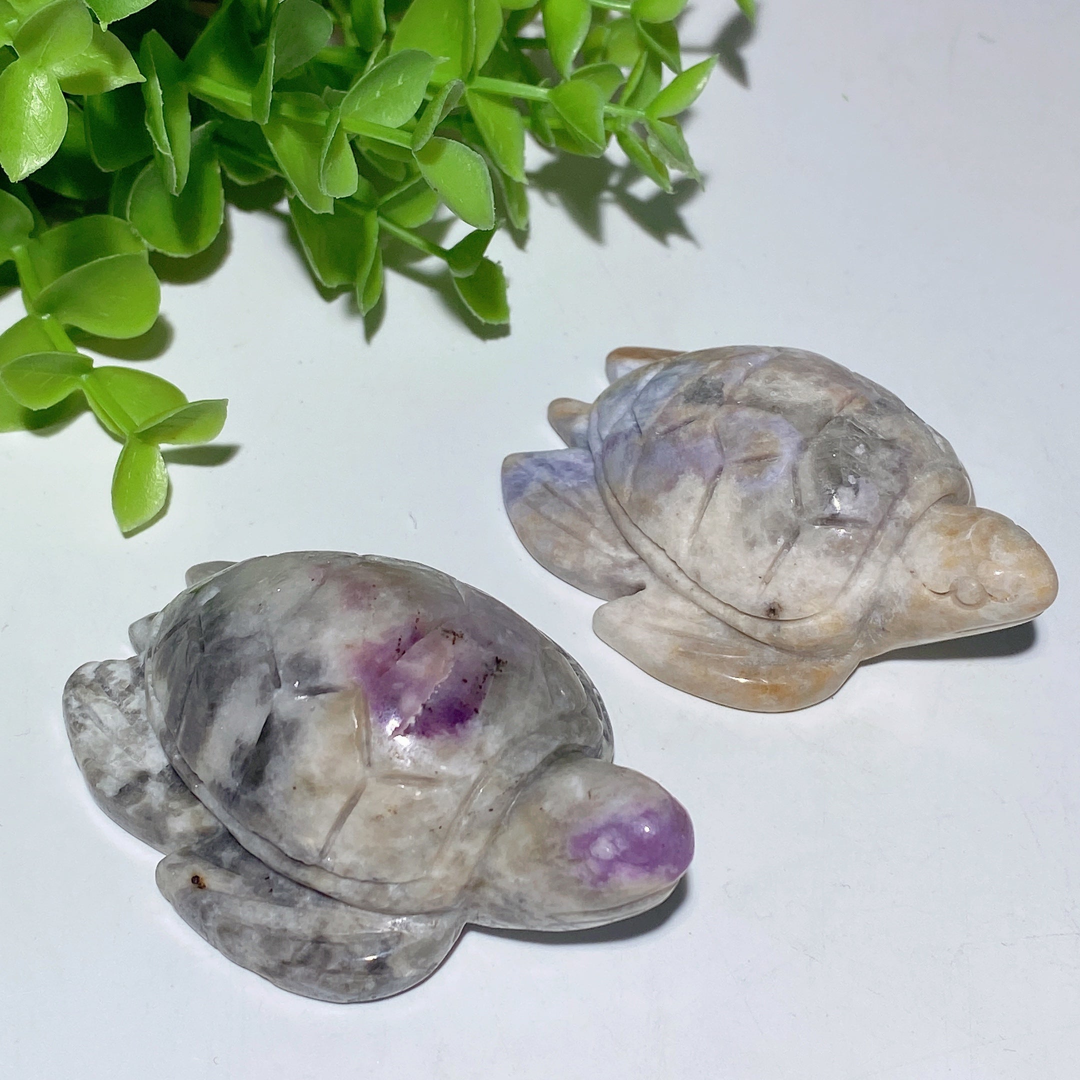 2.7-Inch UV Reactive Hackmanite Crystal Turtle Carving