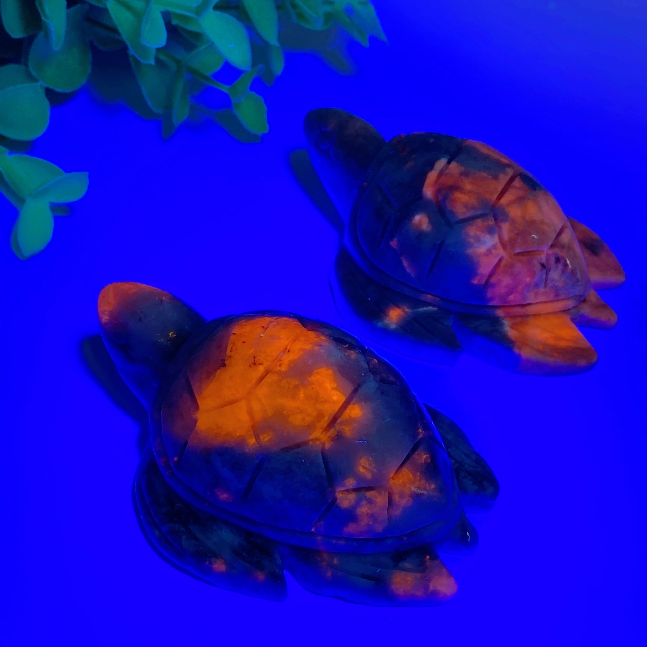 2.7-Inch UV Reactive Hackmanite Crystal Turtle Carving