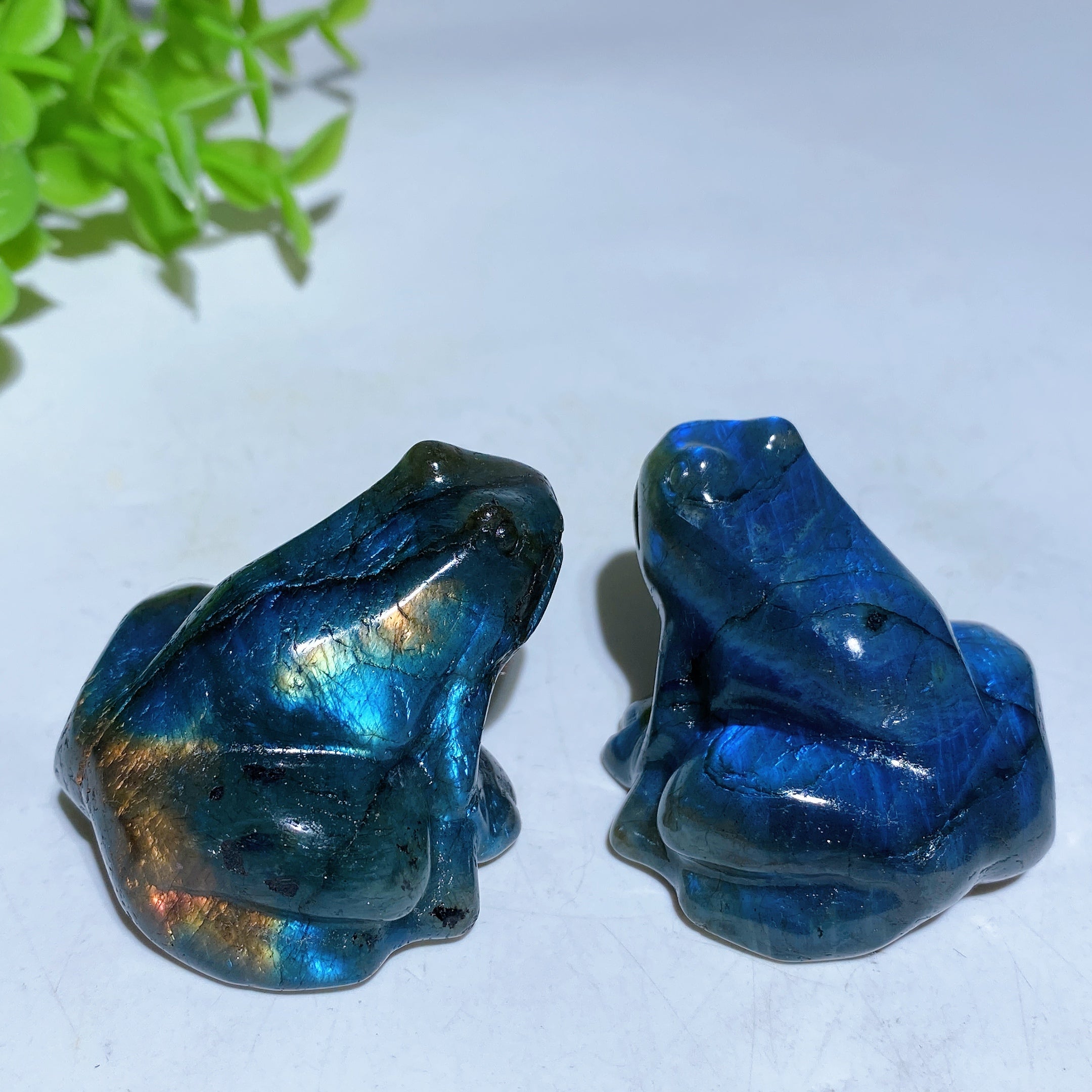 1.8 inch Labradorite Crystal Frog Carving for Healing