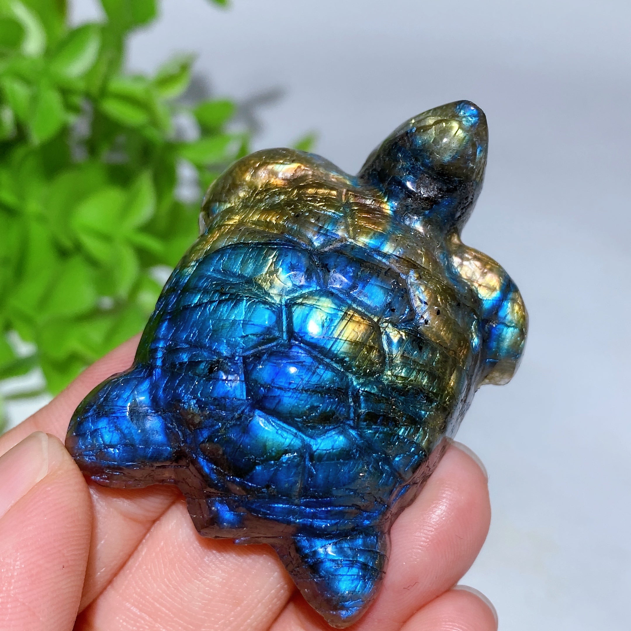 2.0 inch Labradorite Crystal Turtle Figurine for Healing