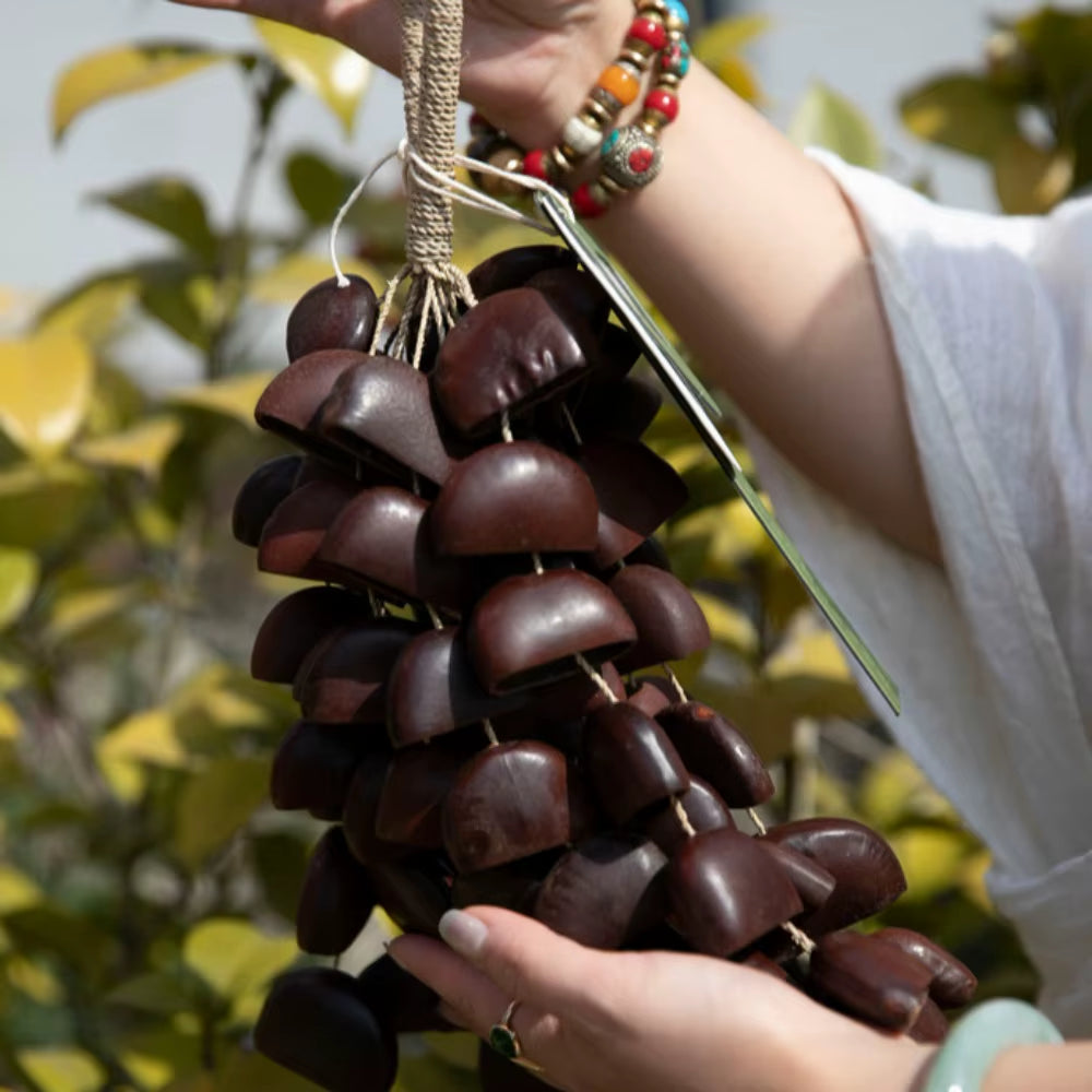 Palm Nut Rattle Fruit Shell Rattle for Sale - Natural Handbell Instrument