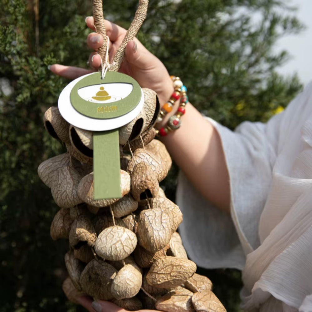 Fruit Shell Vessel Rattle Instruments Fruit Shell Rattle for Sale - Natural Handbell Instrument
