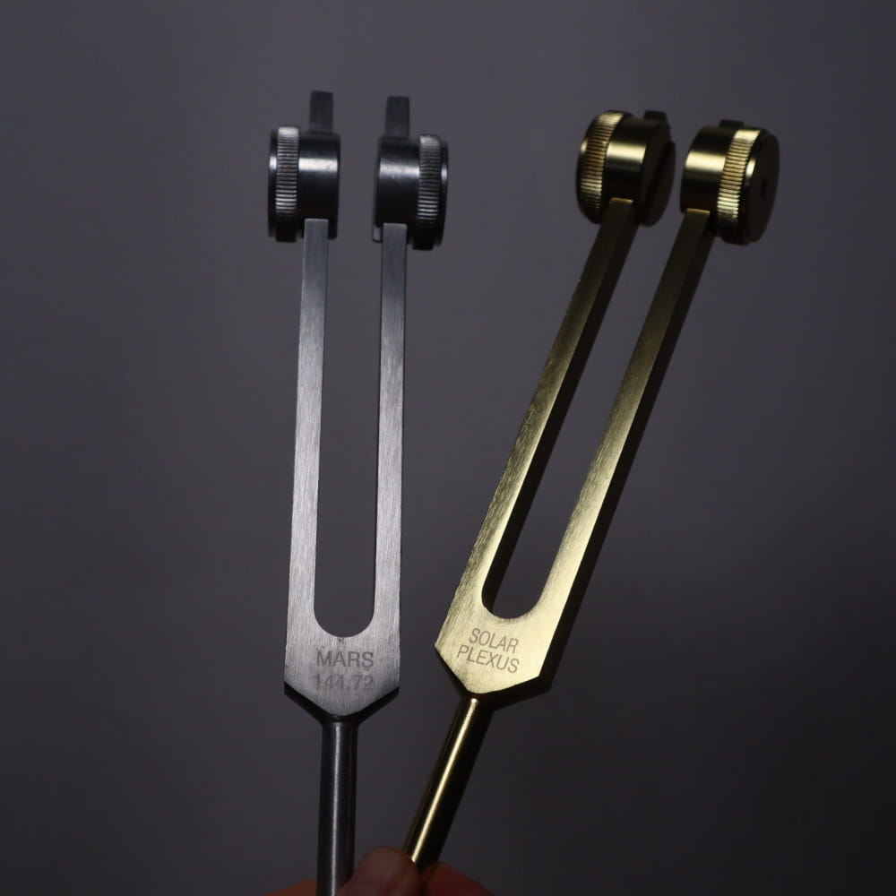 Astrology & Chakra Tuning Fork Set with Carry Bag featuring silver and gold tuning forks