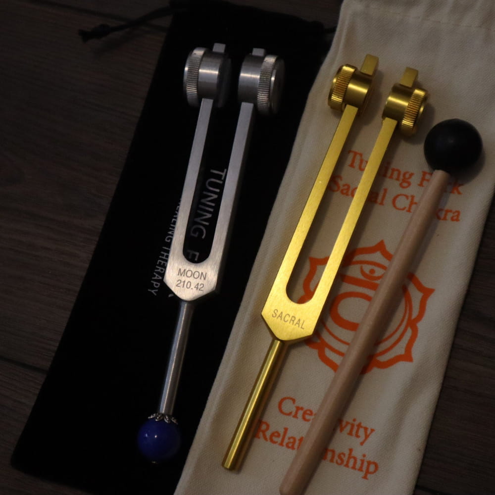 Astrology and Chakra Tuning Fork Set with silver and gold forks in a carry bag