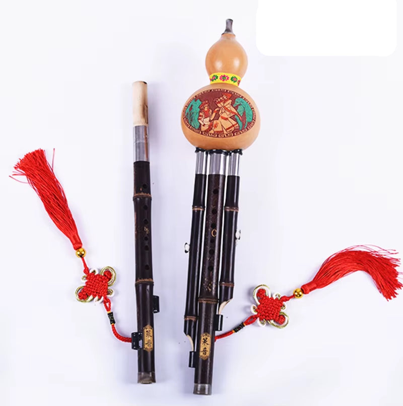 Two Tone Hulusi Flute, Purple Bamboo Double Pipe C & B Key Gourd Flauta Folk Instrument, Professional Calabash F & G Key