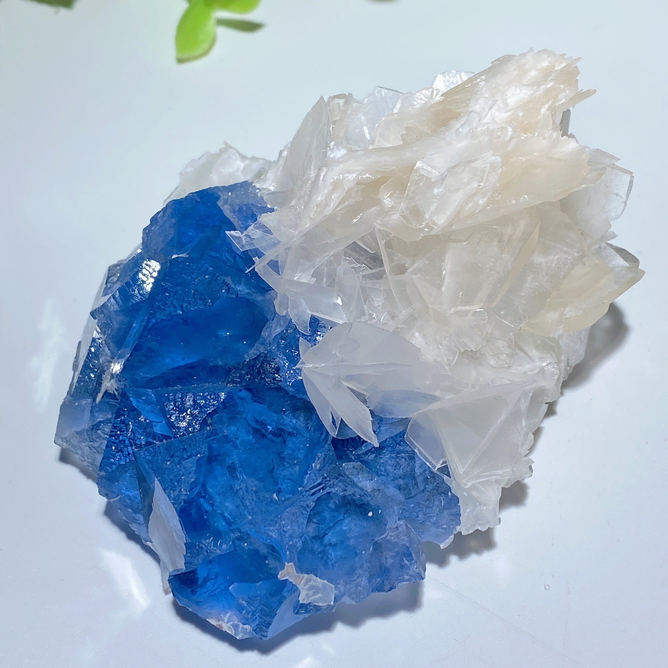 Blue Fluorite & Calcite Crystal Specimens 3.2-5.2in Healing Display