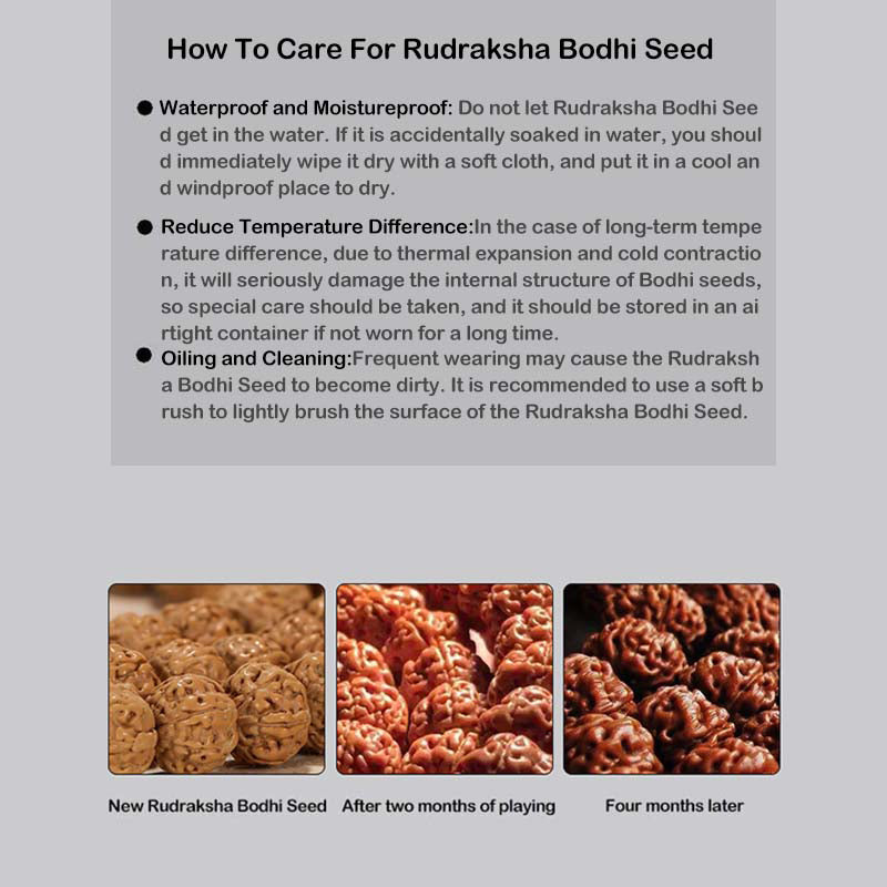 Bodhi Seed Spiritual Bracelet | Enlightenment & Wealth