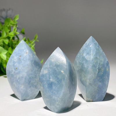 Celestite Flame Free Form Crystal 1.8-2.8 Inch Specimen