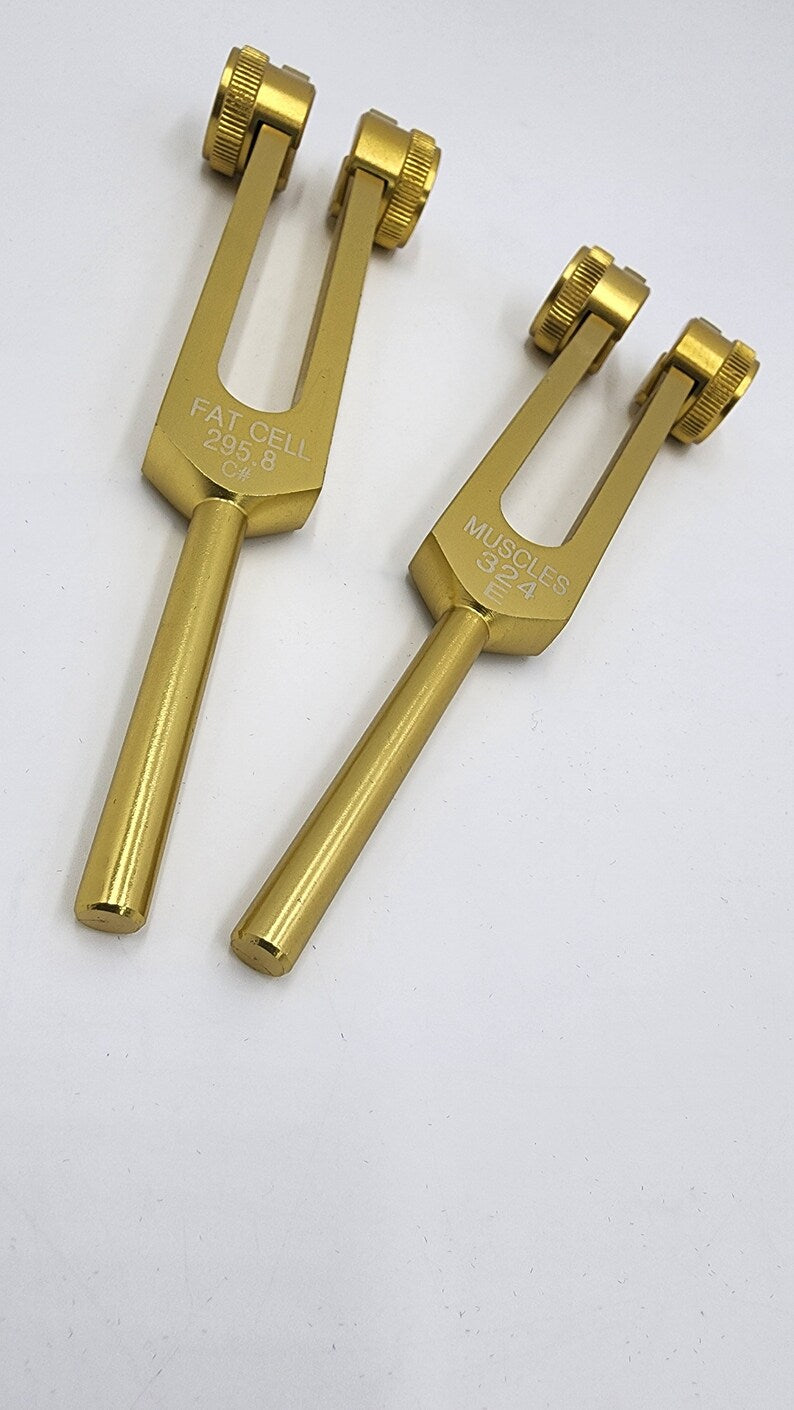 Two brass tuning forks with parallel prongs in Cellulite Tuning Fork Set