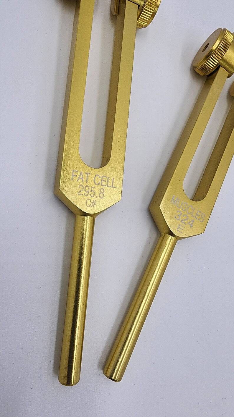 Two brass tuning forks for Cellulite Tuning Fork Set at 295.80 Hz and 324 Hz