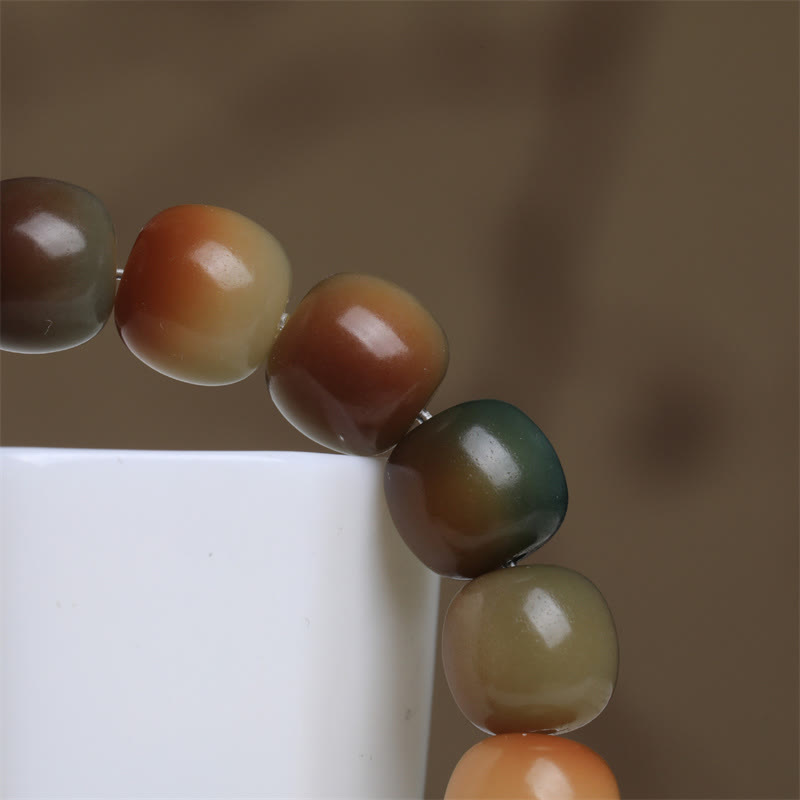 Colorful Bodhi Seed Spiritual Bracelet for Wisdom and Peace