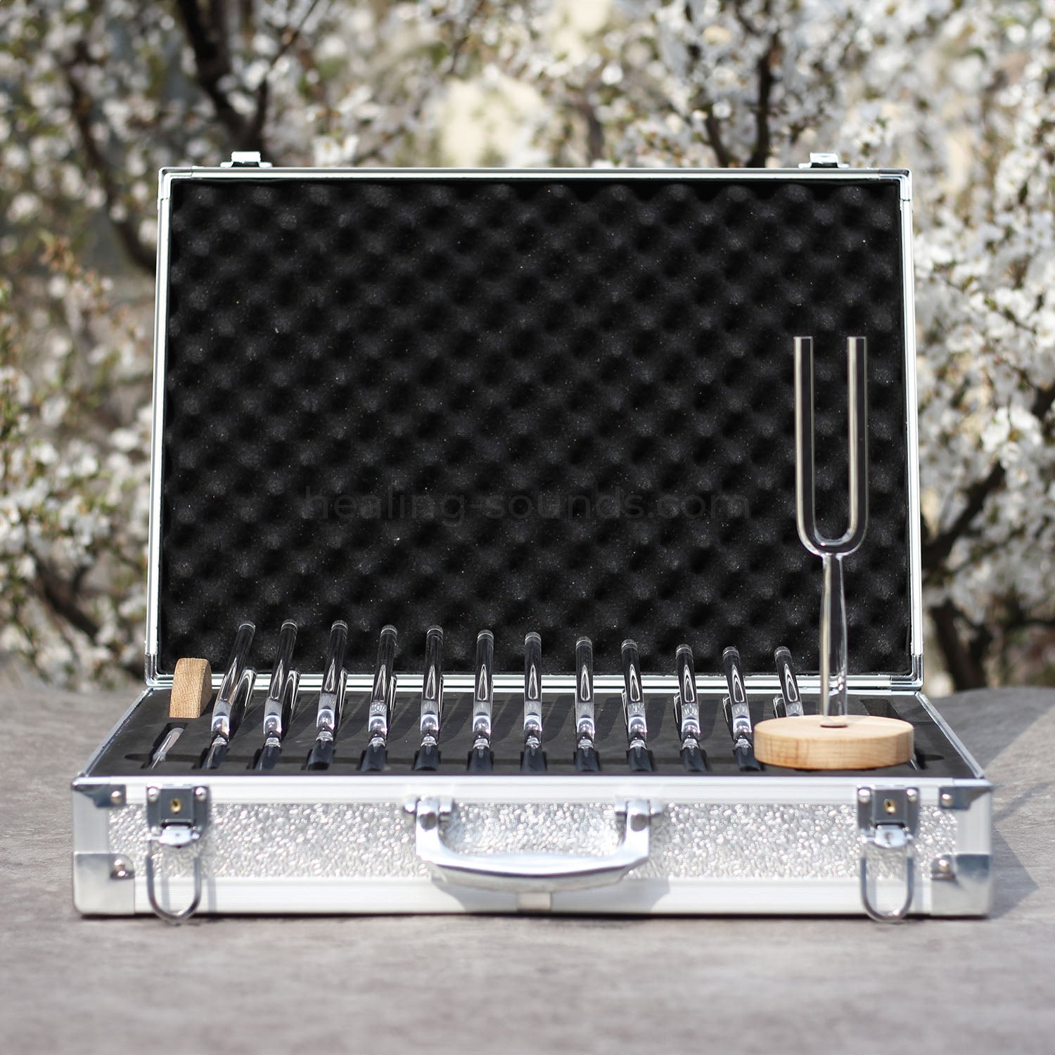 432 Hz Clear Crystal Tuning Fork Set with Box - 13pc - 10 mm