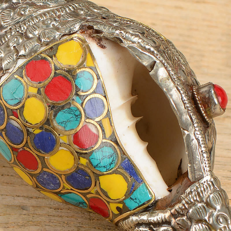Natural Colorful Shankha Conch Shell Decoration for Zen Decor