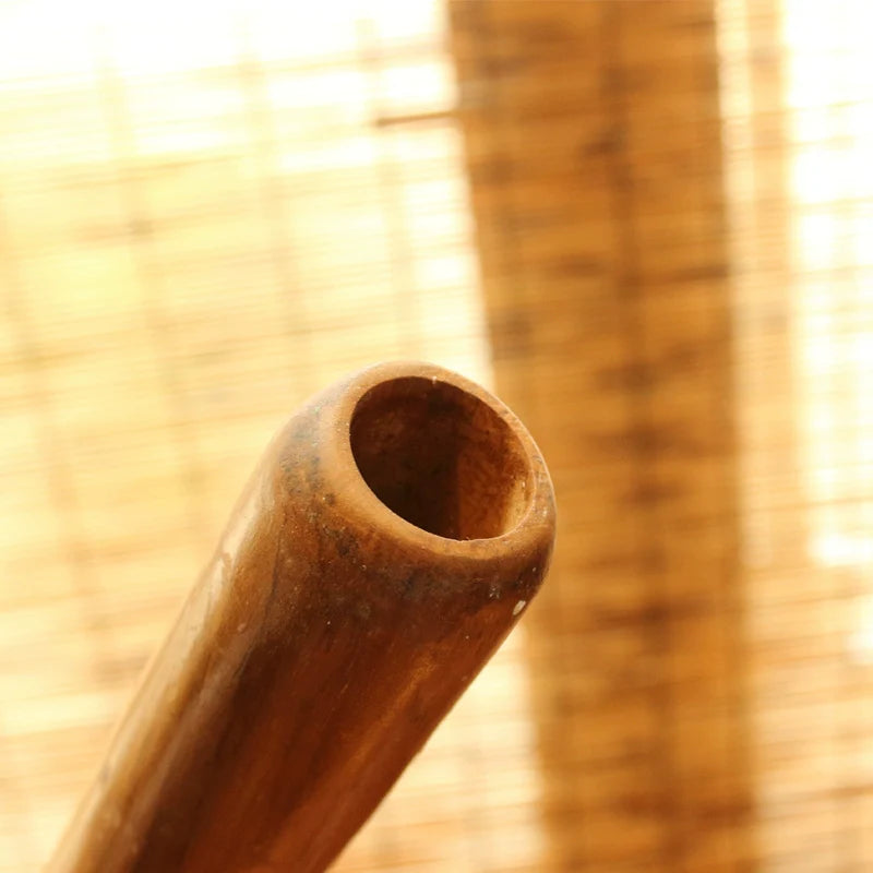 Brown bamboo pole with hollow center for Didgeridoo Australian Teak Wood Instrument