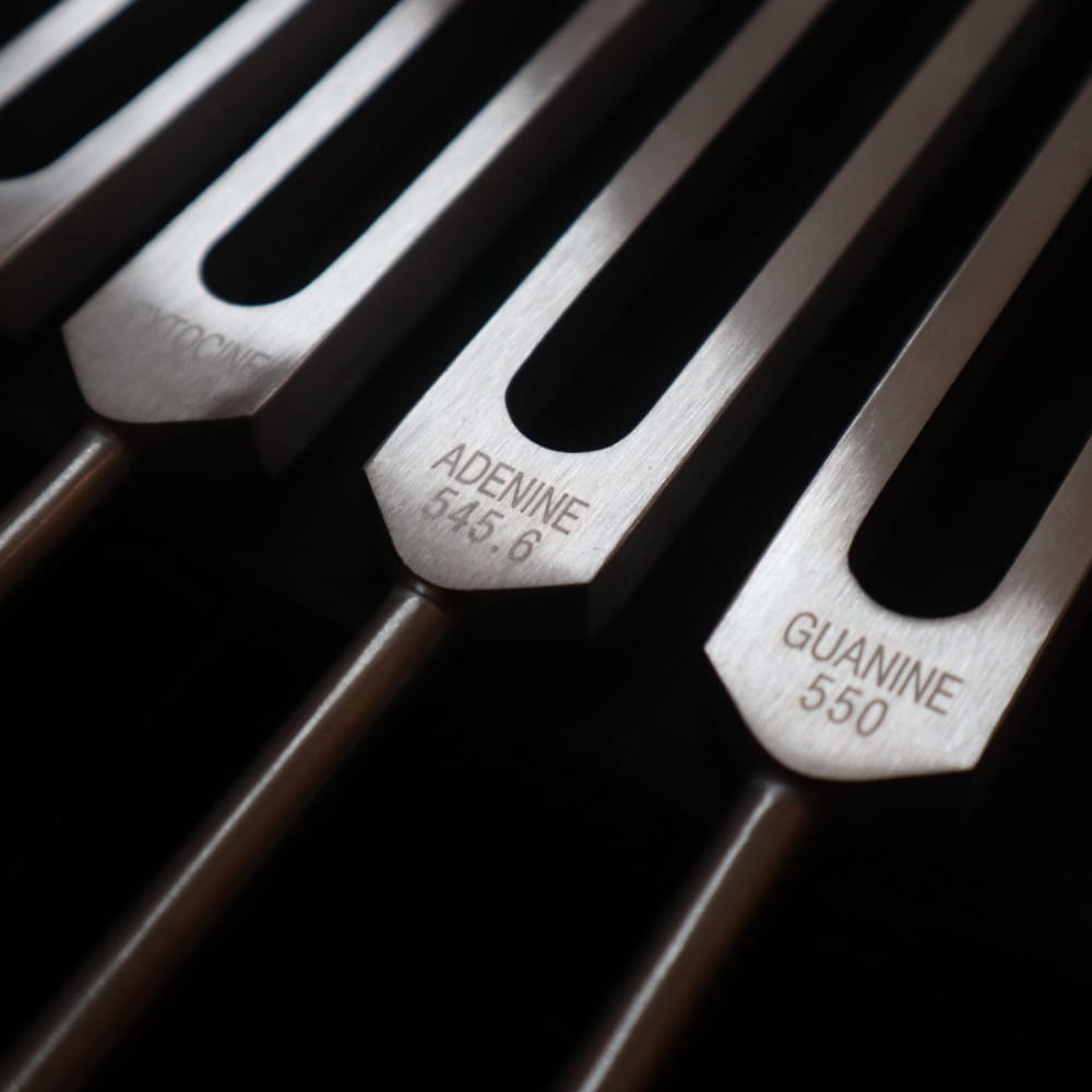 DNA Nucleotide Tuning Fork set for sale - 4 pc