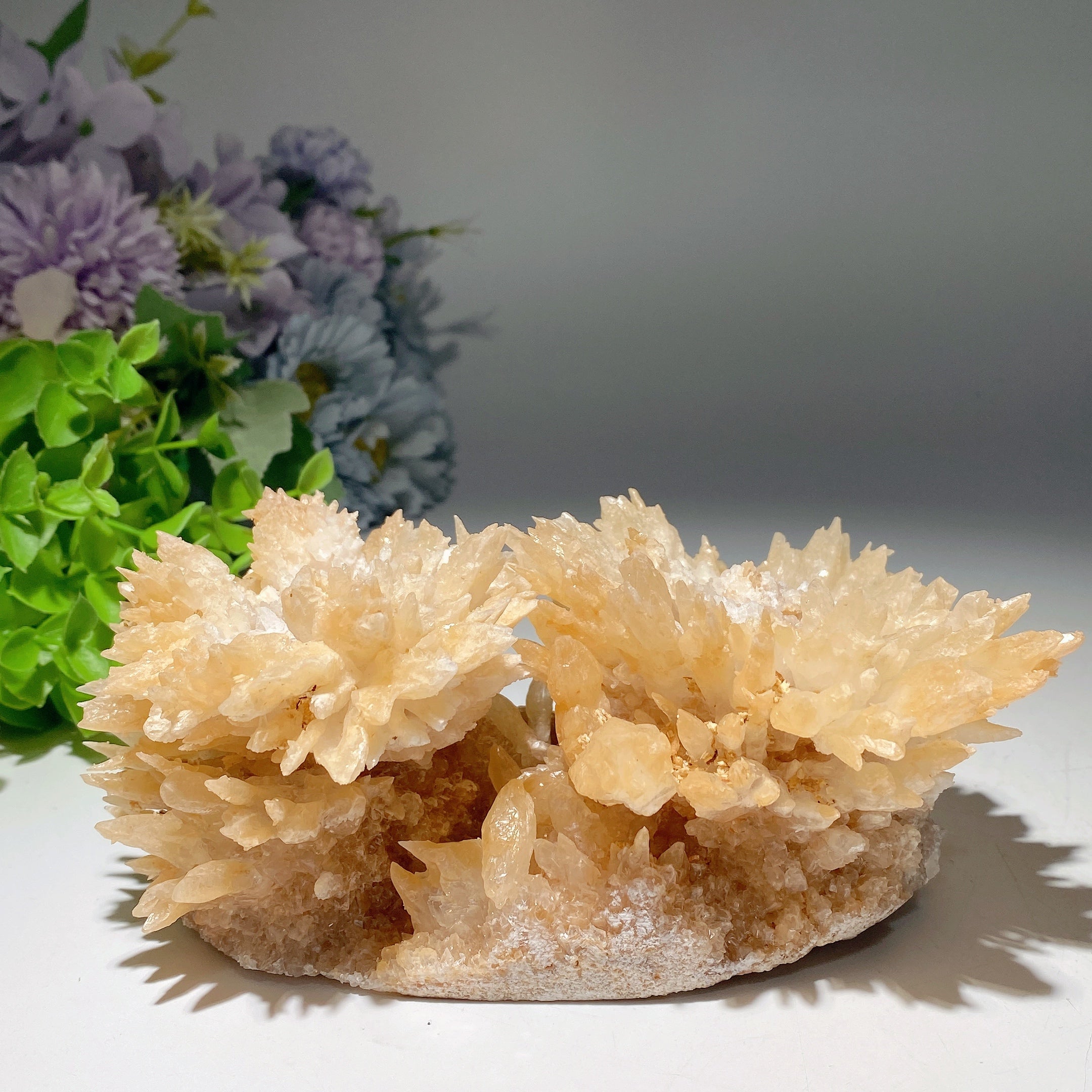Double Flower Calcite Crystal Specimen 17cm Display Piece