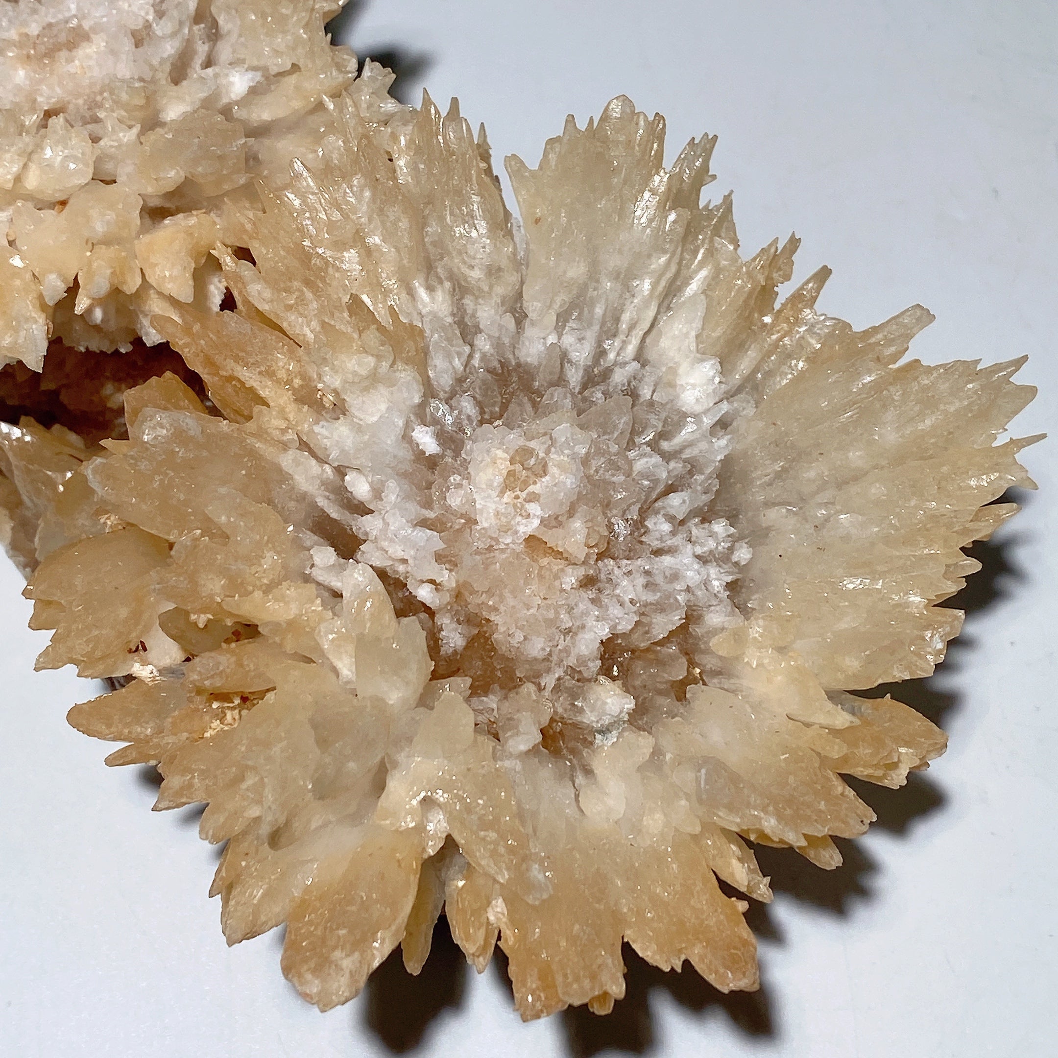 Double Flower Calcite Crystal Specimen 17cm Display Piece