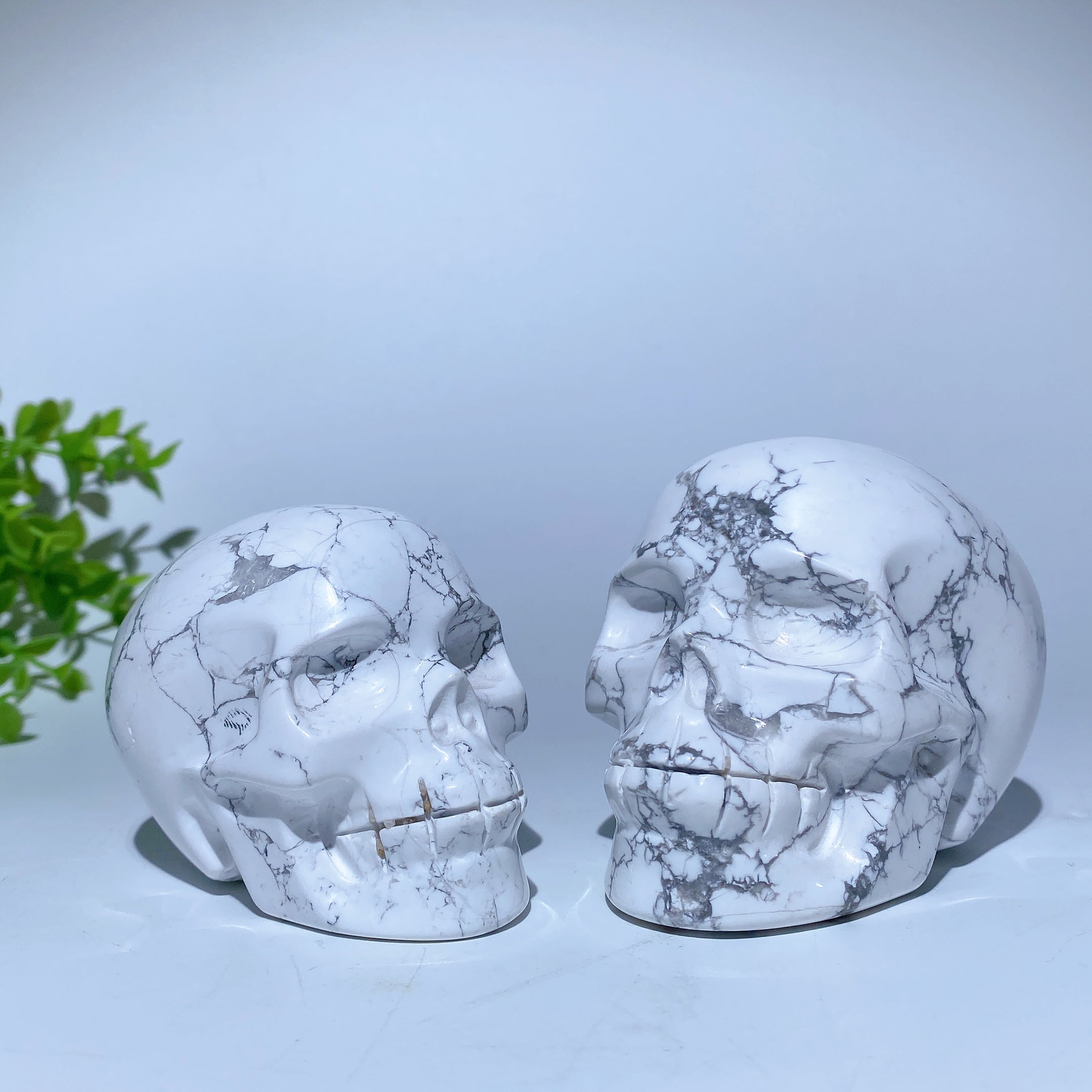 Hand-Carved Howlite Crystal Skull for Spiritual Healing