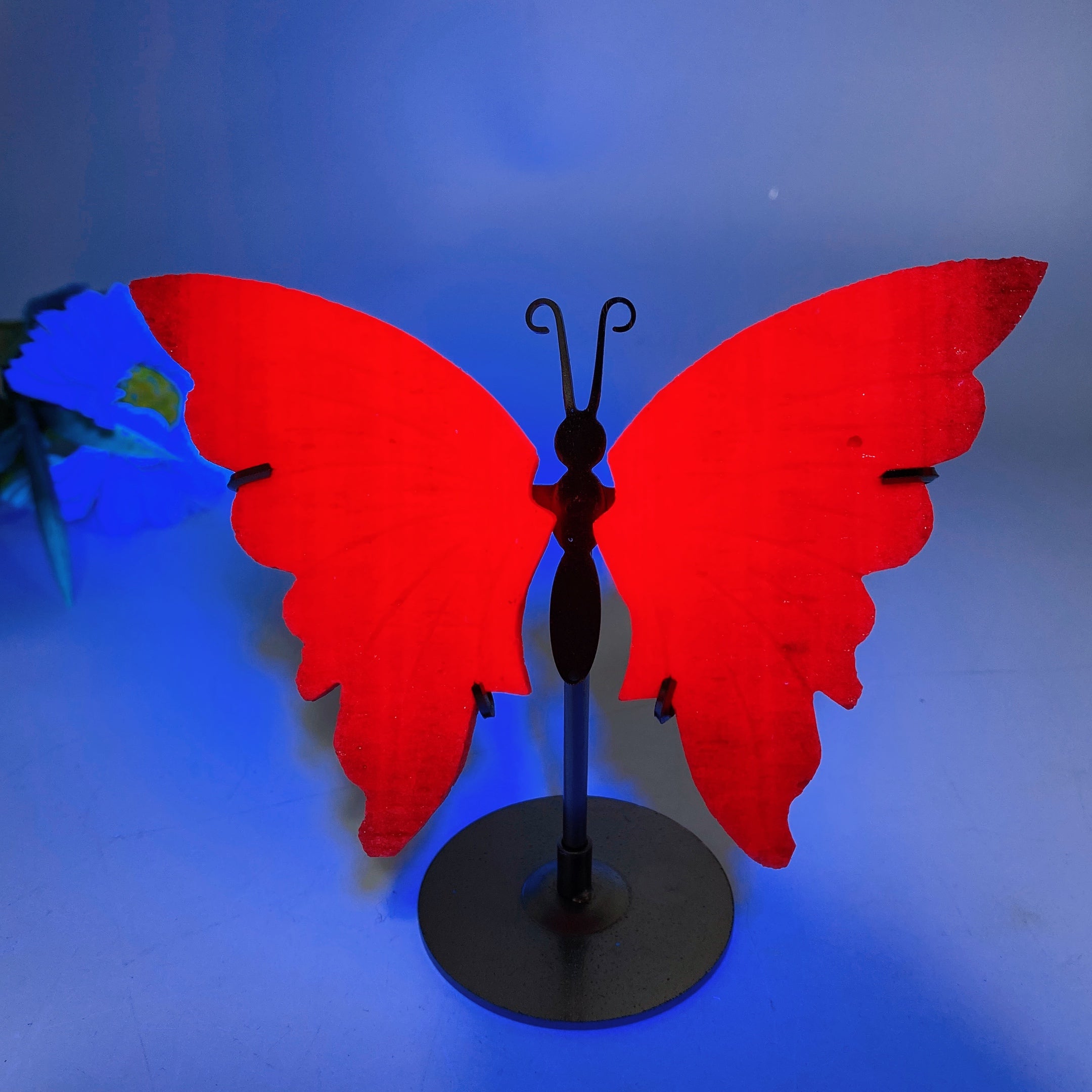 Honeycomb Ruby UV Reactive Butterfly Wings 14cm