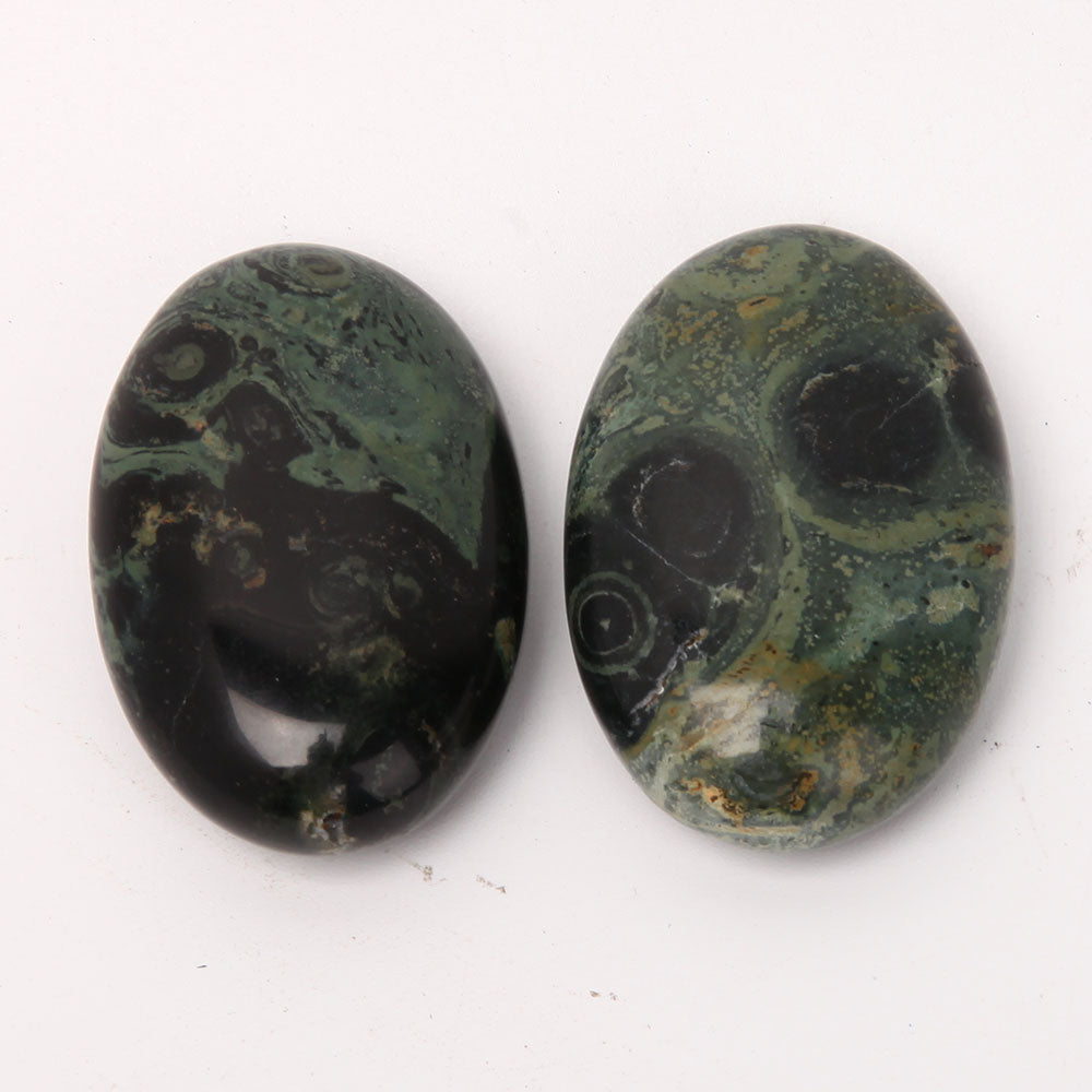 Kambaba Palm Stone 2.3 inch Healing Touchstone