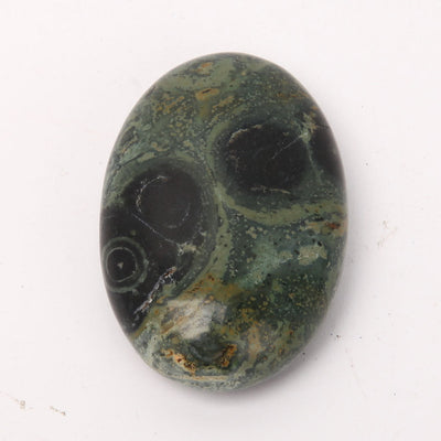 Kambaba Palm Stone 2.3 inch Healing Touchstone