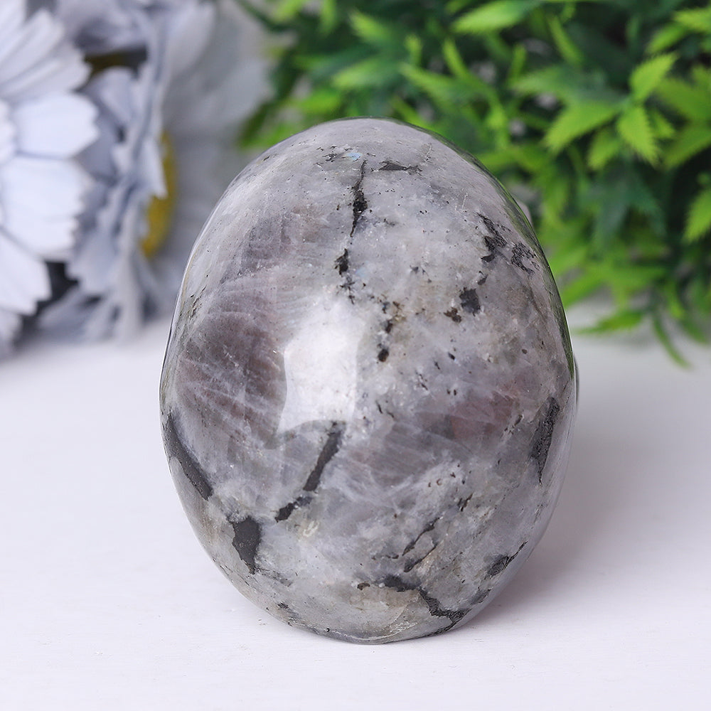 Labradorite Crystal Skull Carvings 3.5-4.7 Inch Display